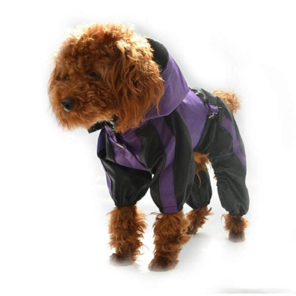 ⁦Custom Small Dog Waterproof Jacket with Hood⁩ - الصورة ⁦3⁩