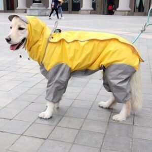 Dog Full Coverage Raincoat real shot